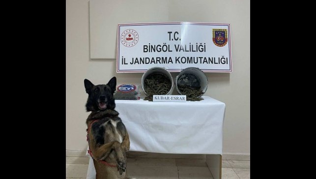 Bingöl'de 2 kilo esrar ele geçirildi: 1 tutuklama