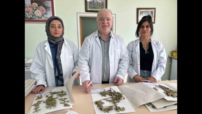 90 bin bitki örneğiyle bilimsel bir hazine: VANF Herbaryumu