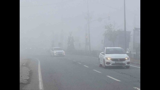 Iğdır'da yoğun sis etkili oldu