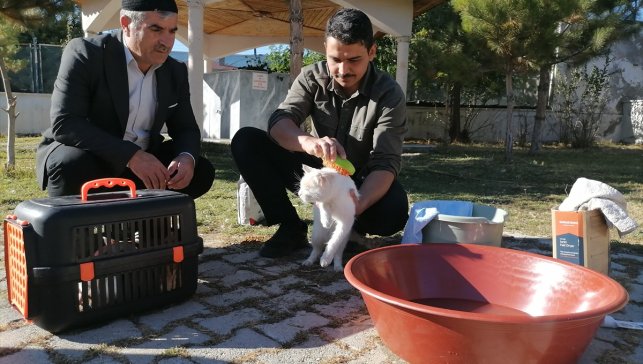 Sahip çıktığı kedileri leğende yıkayan imam hayvan sevgisiyle örnek oluyor