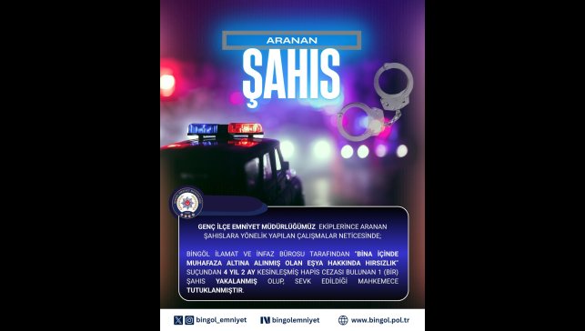 Bingöl'de hakkında 4 yıl kesinleşmiş hapis cezası bulunan şahıs yakalandı