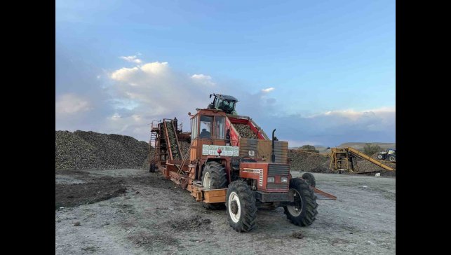 Kars'ta şeker pancarı hasadında yoğun mesai: Çiftçiler zamanla yarışıyor