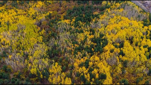 Sonbaharda seyirlik manzara