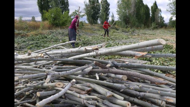 Köylerde kışlık odun hazırlığı