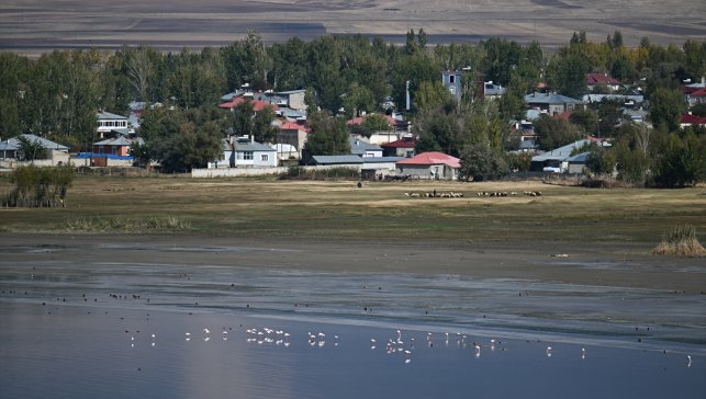 Van'daki Erçek Gölü 30 yılda 6 kilometrekare alan kaybetti