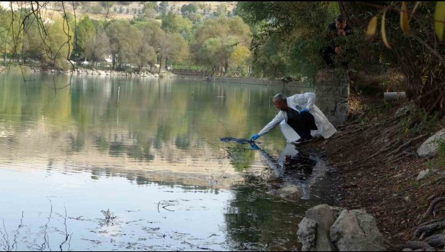 Pikniğe giden öğrenciler gölette kadın cesedi buldu