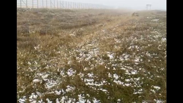 Ardahan'ın yüksek kesimlerinde kar yağışı etkili oldu