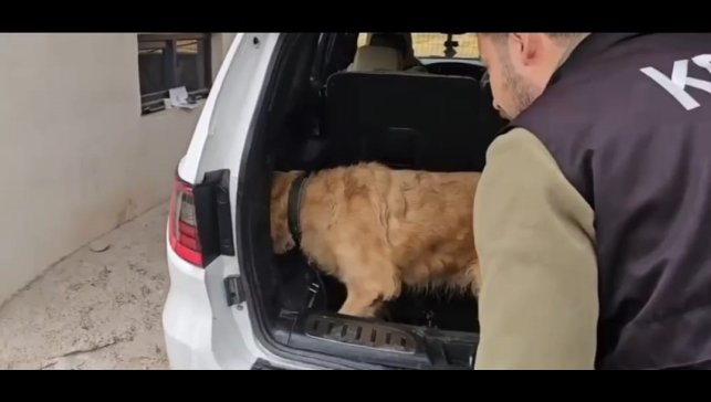 Üzümlü gümrük muhafaza ekiplerinden uyuşturucu operasyonu. Lüks otomobilde 60 kilogram metamfetamin ele geçirildi