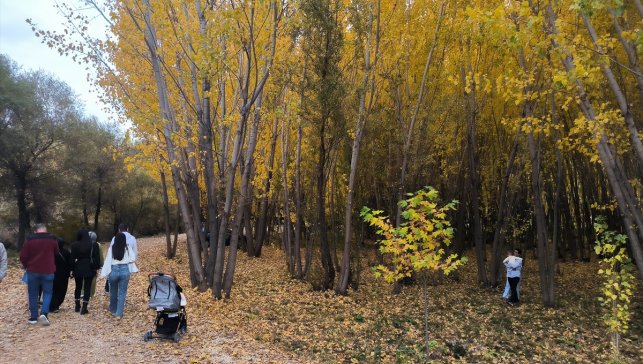 Doğanşehir'de sonbahar renkleri hakim oldu