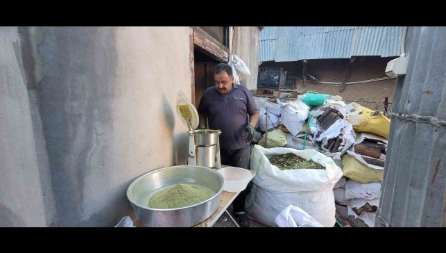 Doğanın hediyesi: 120 bitkiden oluşan zetrin baharatı yeniden keşfediliyor