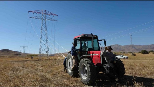 Van'da 31 kilometrelik enerji hattı tamamlandı: Çalışmalarda yabani kuşlar gözetildi