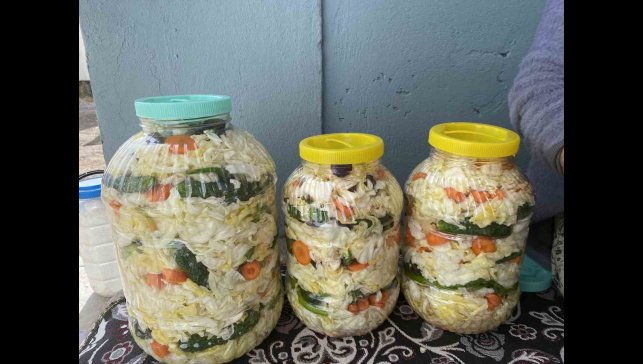 Ağrılı kadınların geleneksel turşu kurma mesaisi başladı