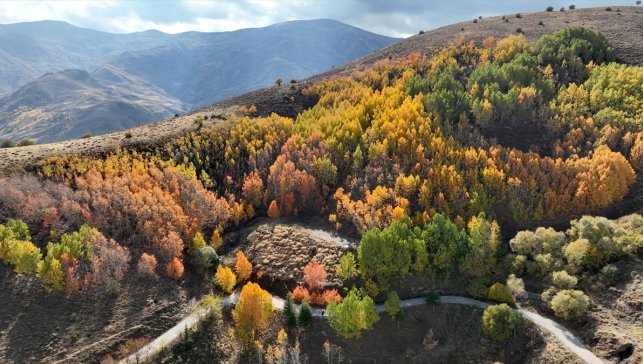 Muş'ta gençler sonbahar renklerine bürünen Bağlar bölgesinde doğa yürüyüşü yaptı