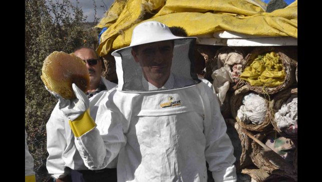 Bitlis Valisi Karakaya dünyaca ünlü karakovan balının hasadını yaptı