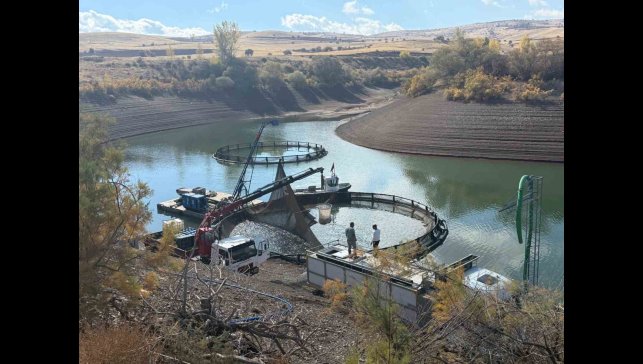 Tercan Baraj Gölü'nde su ürünleri üretimi büyüyor