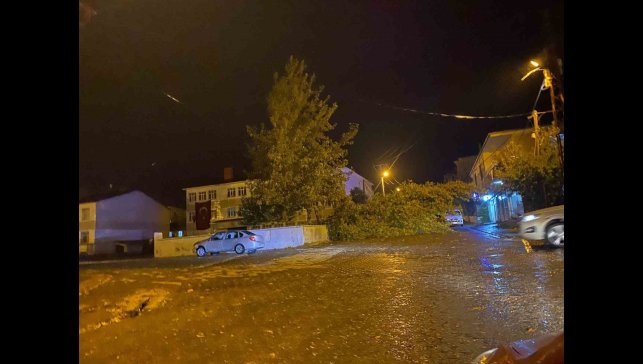 Rüzgarın kökünden söktüğü ağaç otomobilin üzerine devrildi