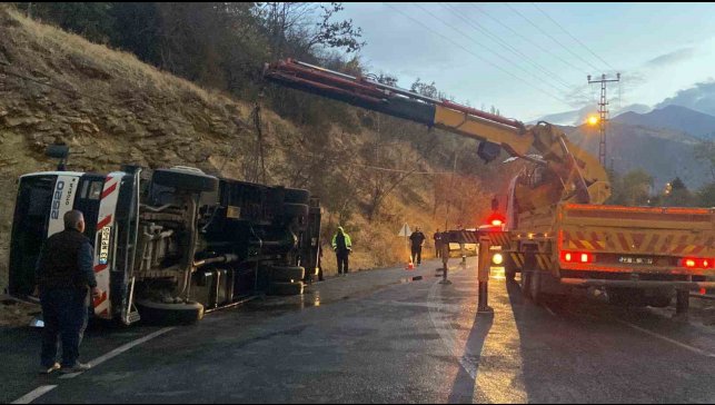 Kemaliye'de canlı hayvan taşıyan çekici devrildi: 2 hayvanın ayağı kırıldı