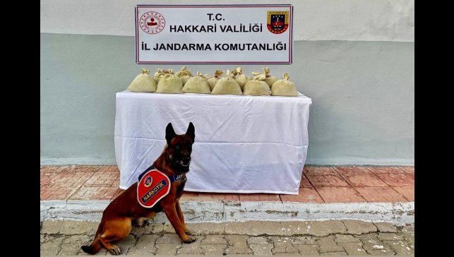 Hakkari'de 15 kilogram esrar ele geçirildi