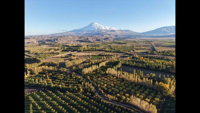 Iğdır'ın renk cümbüşüne dönüşen doğal cenneti İrem Bağları, havadan görüntülendi