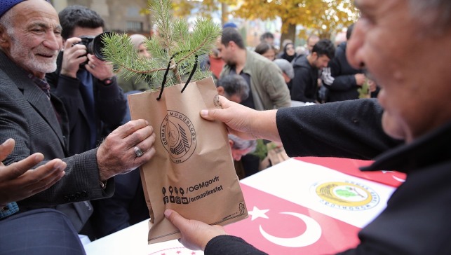 Milli Ağaçlandırma Günü'nde Erzurum ve çevre illerde fidanlar toprakla buluşturuldu