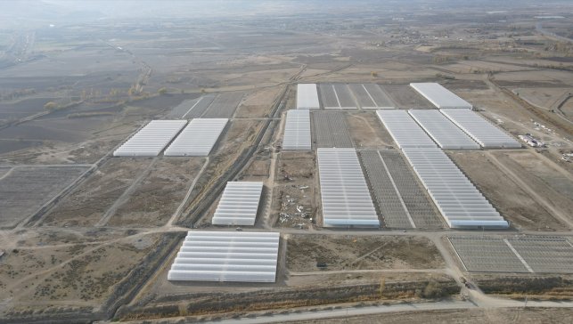 Doğu Anadolu'nun en büyük toplu sera alanı Erzincan'da kurulacak