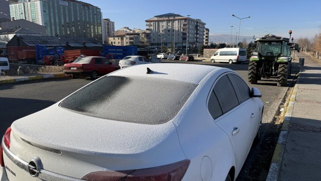 Erzurum, Ardahan ve Kars'ta soğuk hava ile sis etkili oluyor