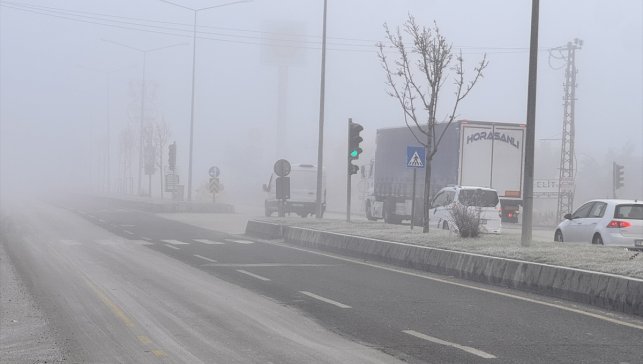 Erzurum ile Ardahan'da sis ve soğuk hava etkili oldu