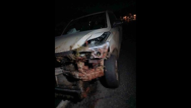 Elazığ'da kamyonet sürüye çarptı: 30 küçükbaş hayvan telef oldu