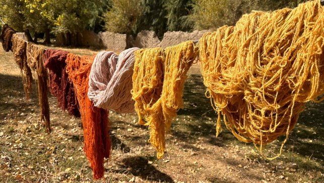 Vanlı kadınlar, iplere doğada topladıkları bitkilerle renk veriyor