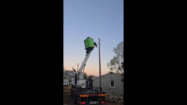 Elektrik direğinde mahsur kalan kediyi ekipler kurtardı