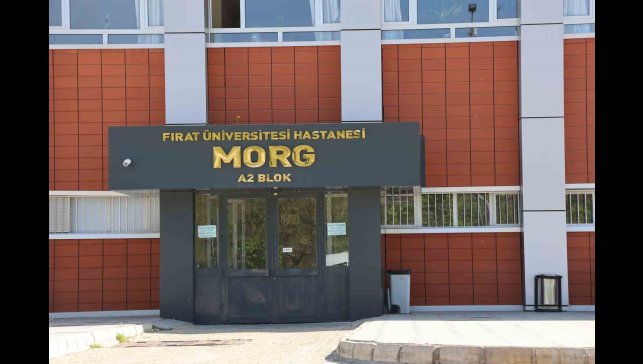 Elazığ'a üzüm almaya geldi, hayatını kaybetti