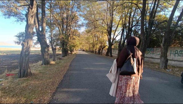 Van'da sonbahar renk cümbüşü