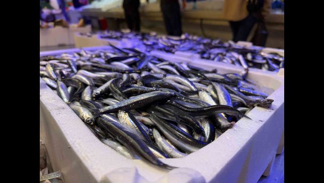 Trabzon'dan gelen taze balıklar Erzincan'da ilgi görüyor