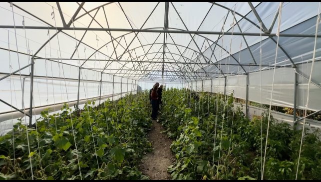 "Köye Dönüş" projesi çerçevesinde kurulan seralar sayesinde, boşaltılan köyler yeniden hayat buldu