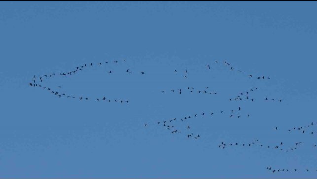 Zorlu göçün durağı Erçek Gölü