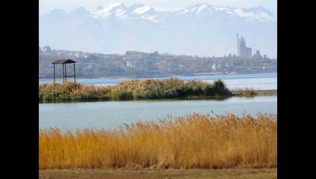 Van Gölü Havzası, Türkiye'nin en fazla sulak alanına ev sahipliği yapıyor