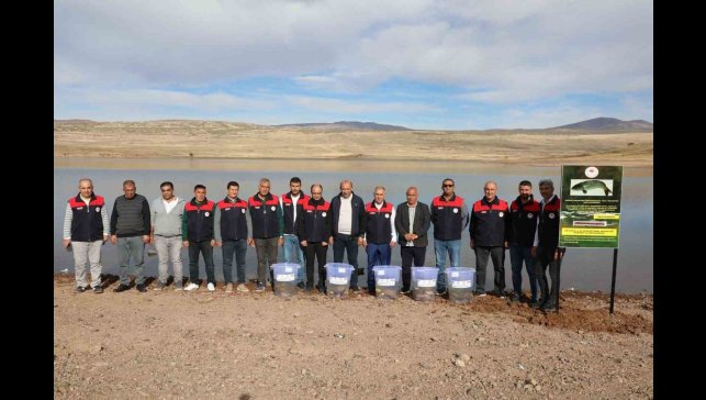 Elazığ'da Su Kaynakları Balıklandırma Projesi sürüyor