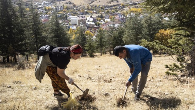 Doğa tutkunları, Tunceli'nin kıraç topraklarını meşe palamuduyla buluşturuyor