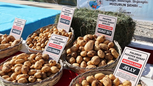 Darende'de "Yerli Patates Tohum Şenliği" düzenlendi