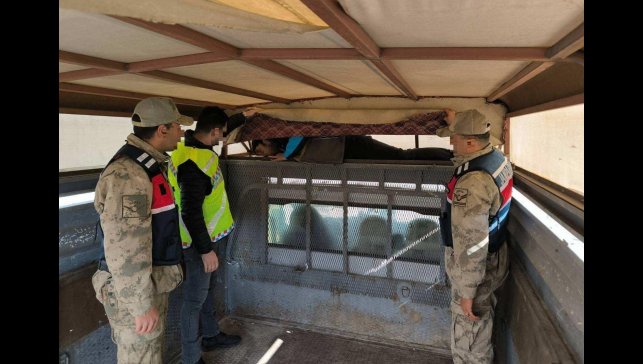 Bir ay içinde 28 düzensiz göçmen yakalandı