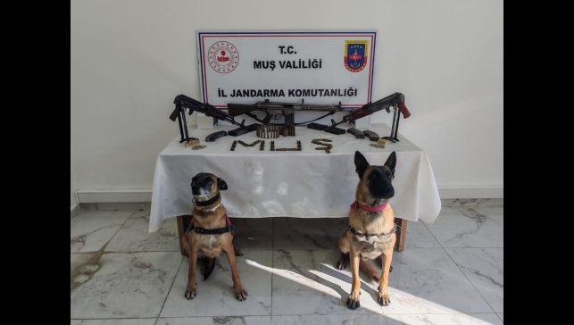 Muş'ta ruhsatsız 3 uzun namlulu silah ele geçirildi