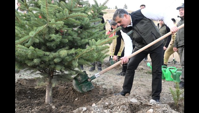 "Hastaya kan, ormana can"