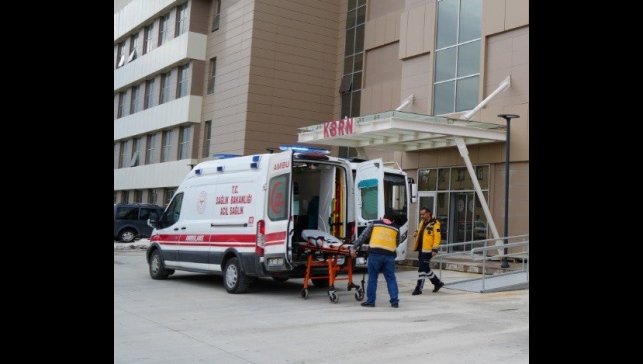 Erzincan'da üzüm bağında çalışan vatandaşa ayı saldırdı