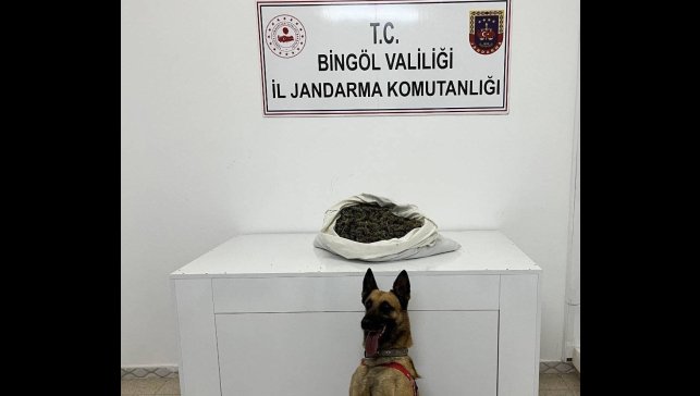 Bingöl'de zehir tacirlerine geçit yok