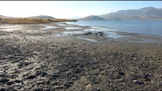Erçek Gölü'nde su çekilince mikrobiyalitler ortaya çıktı
