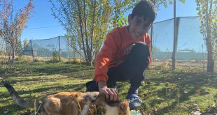 Sokak hayvanlarını elleriyle besliyor, onlara yuva oluyor