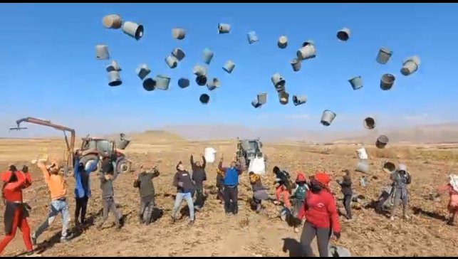 Patnos'ta patates hasadı tamamlandı: 500 Dönüm araziden bin 650 ton ürün elde edildi