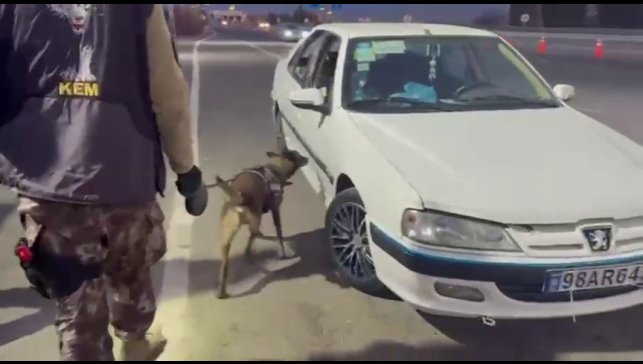 Erzurum'da araçta gizlenmiş uyuşturucuyu 'Magnum' buldu