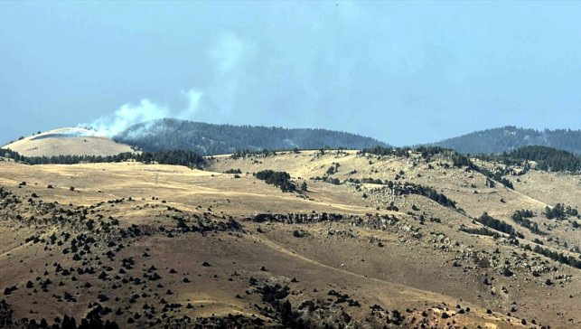 Kars'ta ormanda çıkan örtü yangınında yaklaşık 1,5 hektar alan zarar gördü