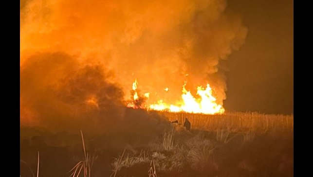 Hakkari'de kuş cennetinde yangın